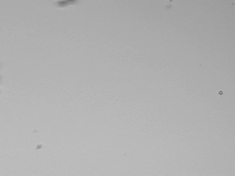 apod_2006_130_20190227_1841525865.jpg